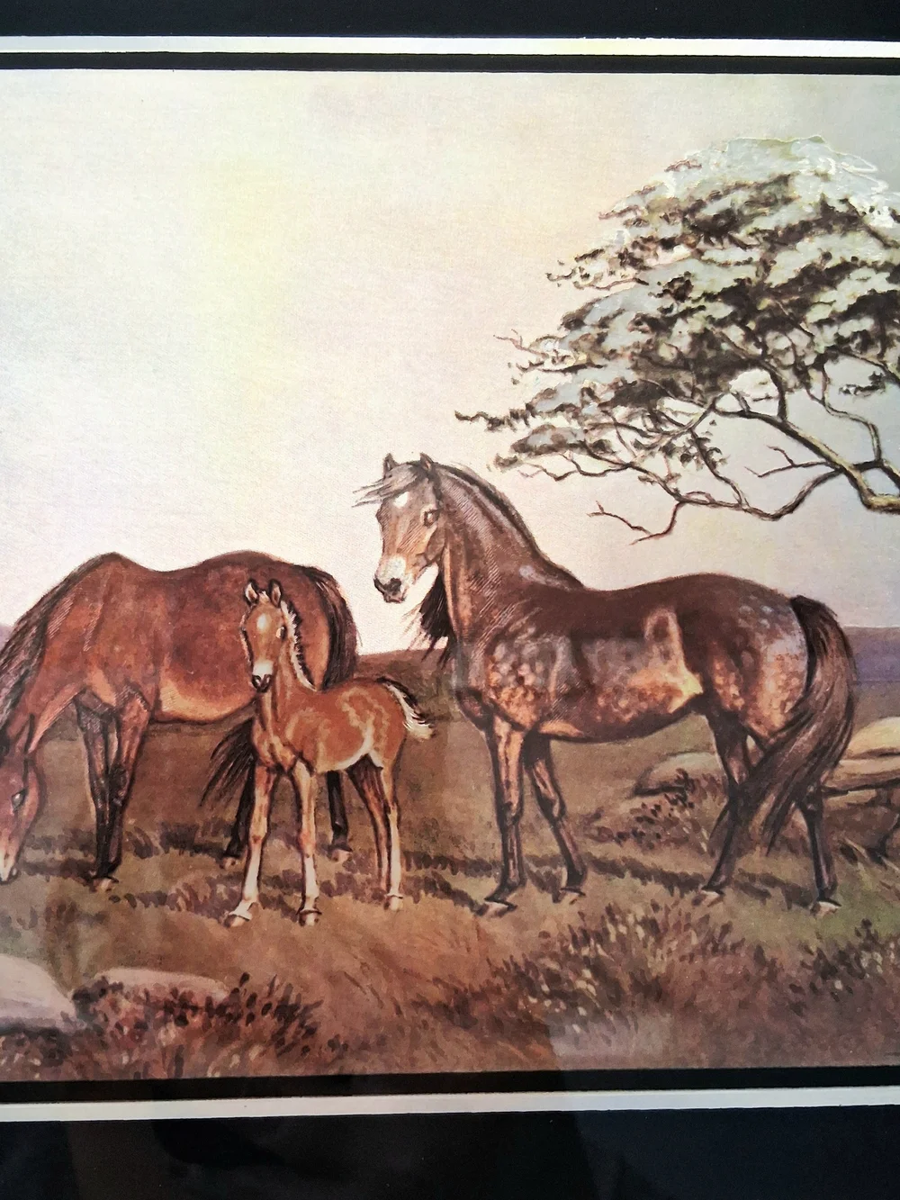 Vintage Ninetta Butterworth Horse Foal Metallic Textured Print Framed Equestrian